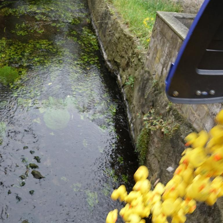 Stadfest_12.07.2025_007