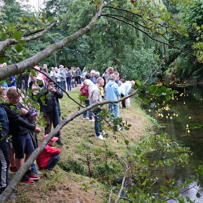 Stadfest_12.07.2025_014