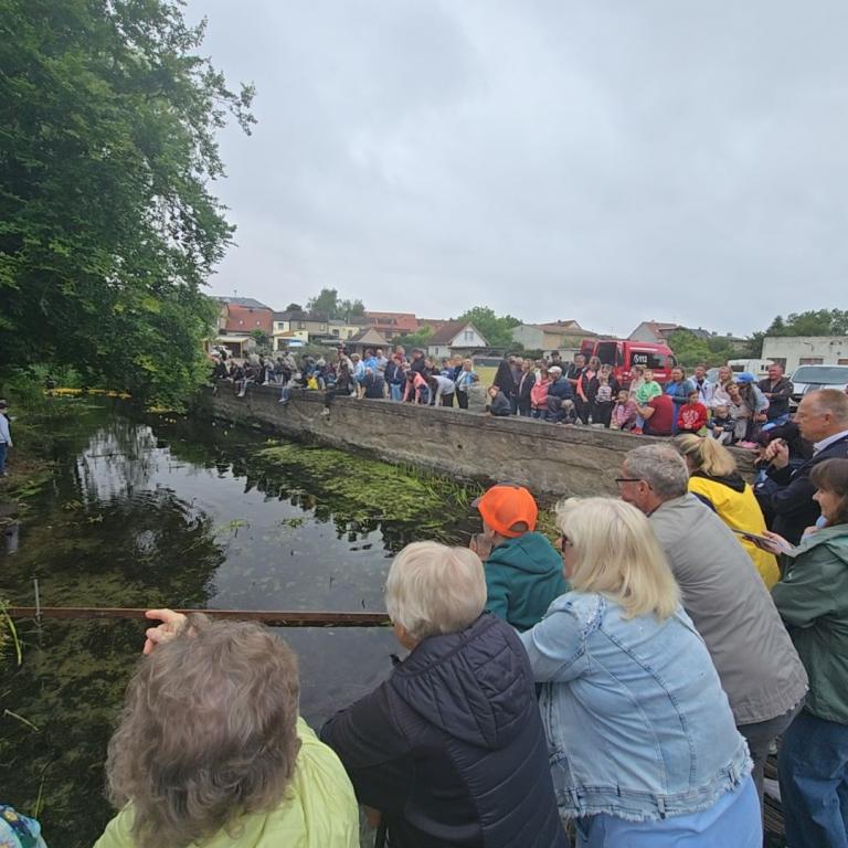 Stadfest_12.07.2025_021