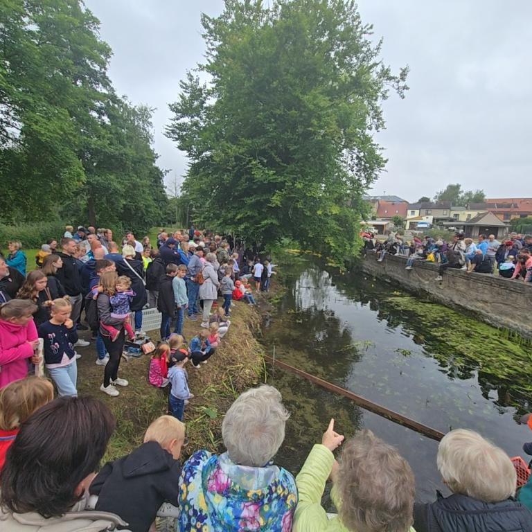 Stadfest_12.07.2025_022