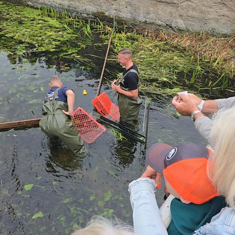 Stadfest_12.07.2025_025