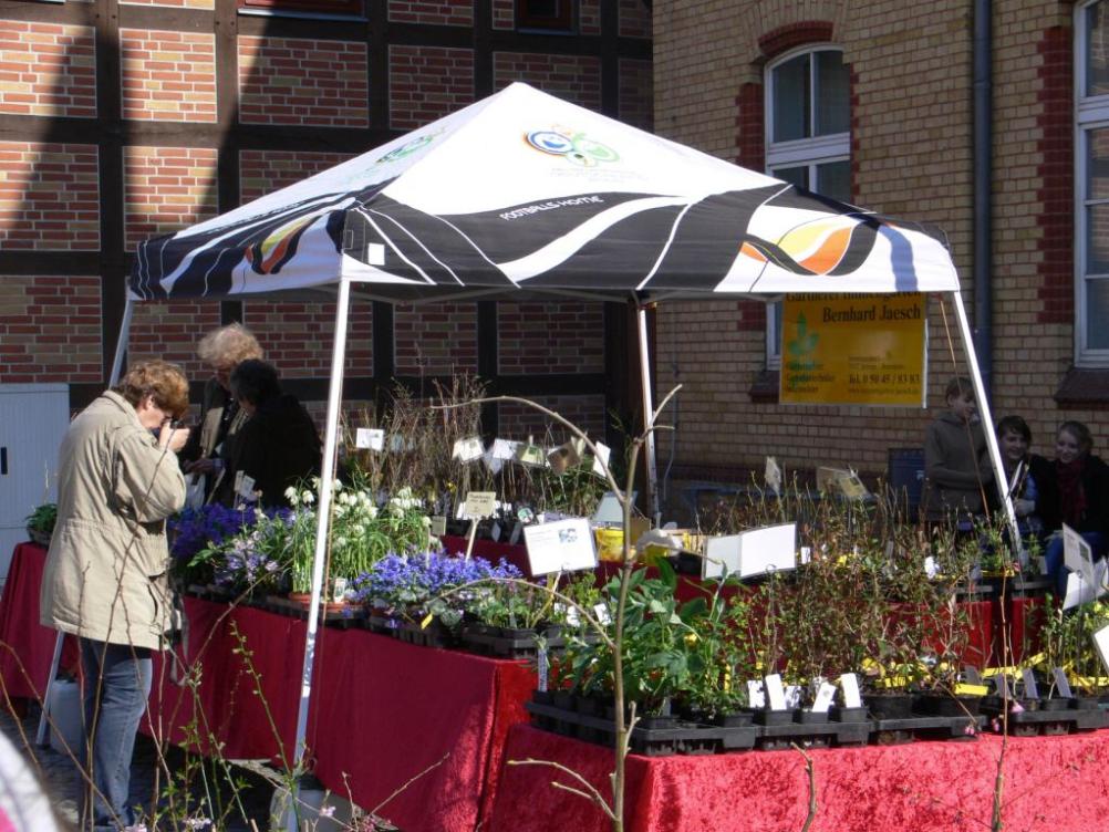 Für Bilder hier klicken